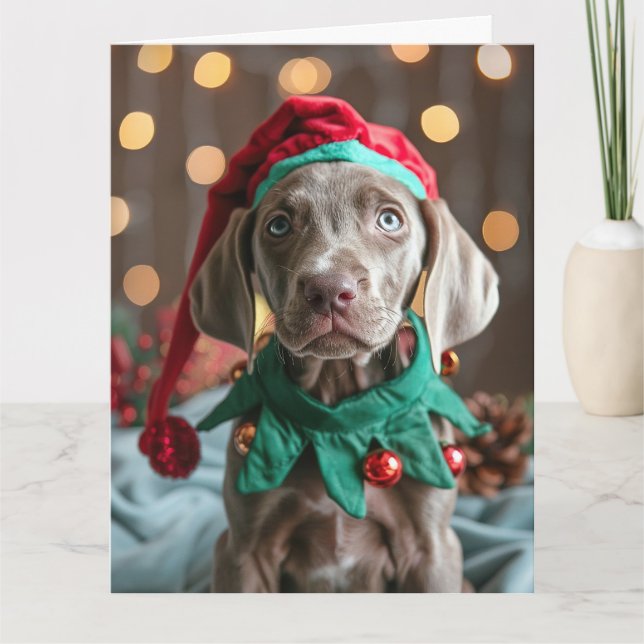Weimaraner Elf Puppy Christmas Card  (Front)