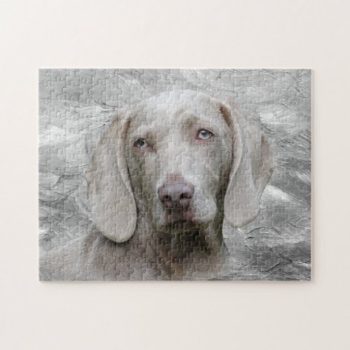 Weimaraner face jigsaw puzzle