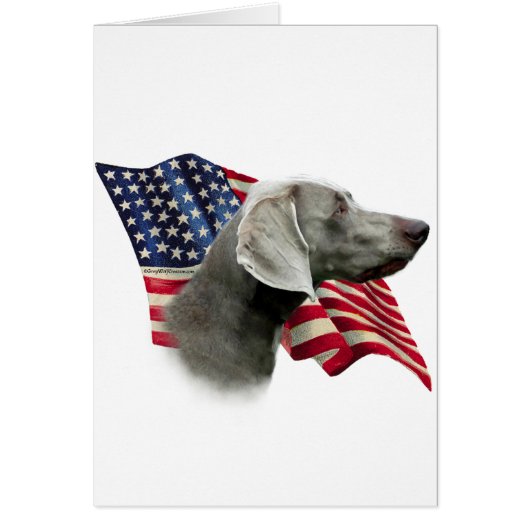 Weimaraner Flag Cards (Front)