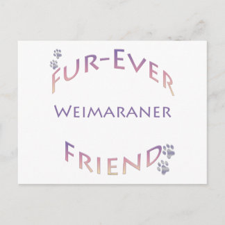 Weimaraner Furever Friend Postcard