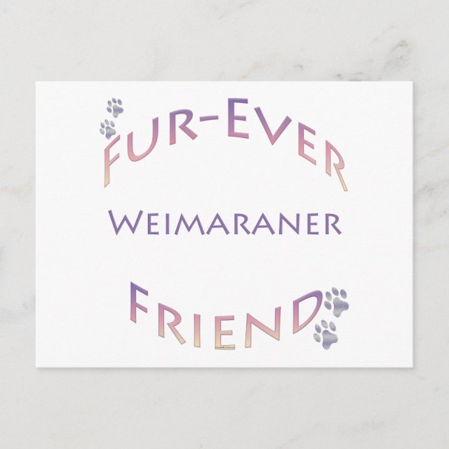 Weimaraner Furever Friend Postcard (Front)