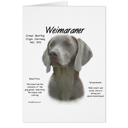 Weimaraner History Design Cards (Front)