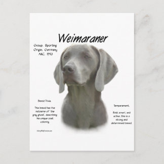 Weimaraner History Design Postcard