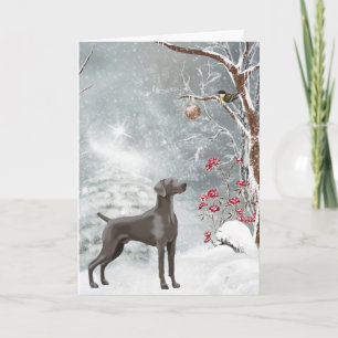 Weimaraner Holiday Card