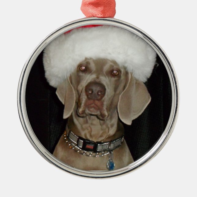Weimaraner Holiday Helper Metal Ornament (Front)