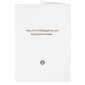 Weimaraner Hunts Cards (Back)
