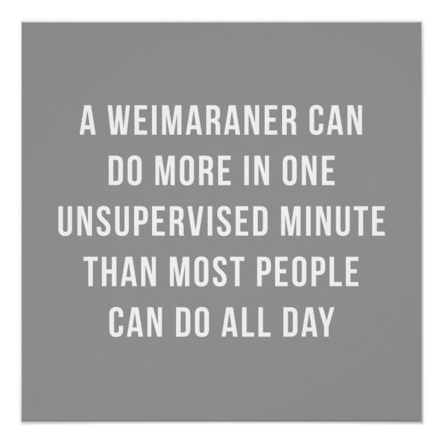 Weimaraner In A Minute Perfect Poster (Front)