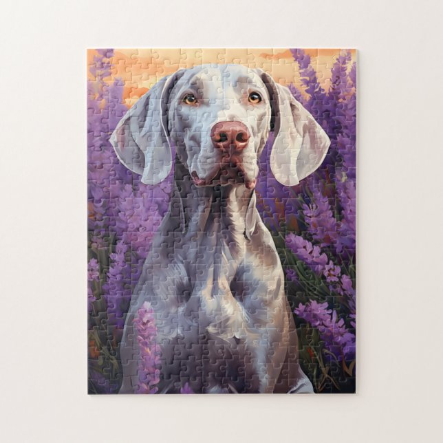 Weimaraner in Lavender field Jigsaw Puzzle (Vertical)