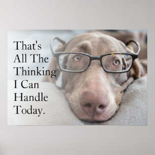 Weimaraner In Smart Glasses Poster