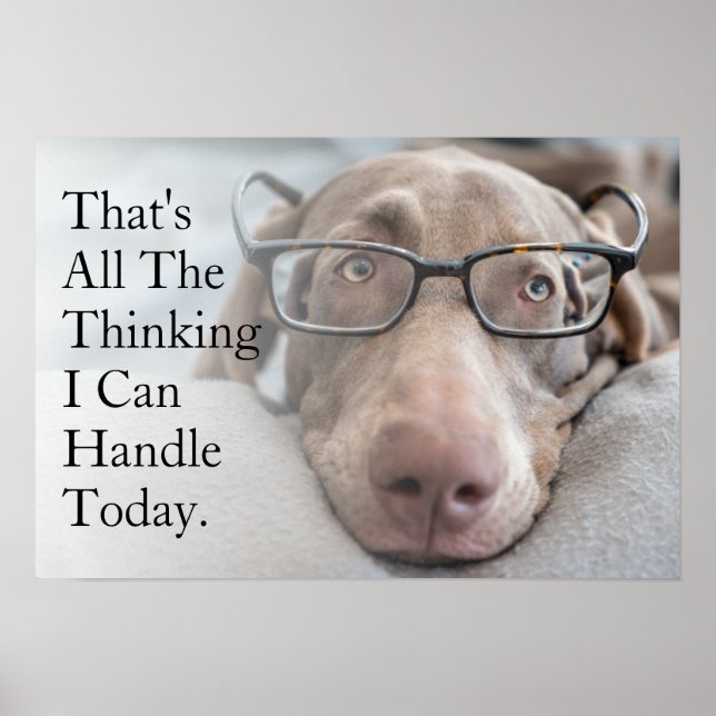 Weimaraner In Smart Glasses Poster (Front)