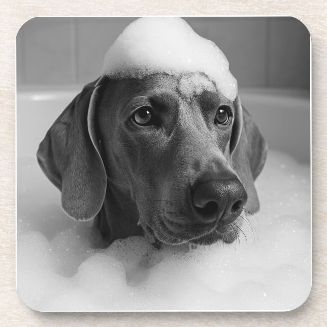 Weimaraner in the bath with bubbles on his head beverage coaster (Front)