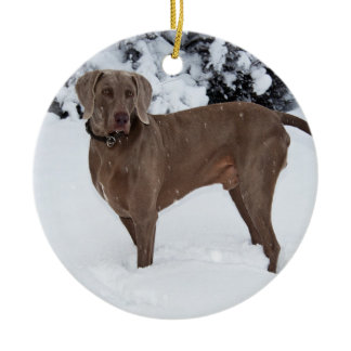 Weimaraner In Winter Ceramic Ornament