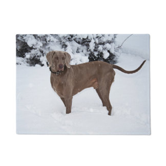 Weimaraner In Winter Doormat