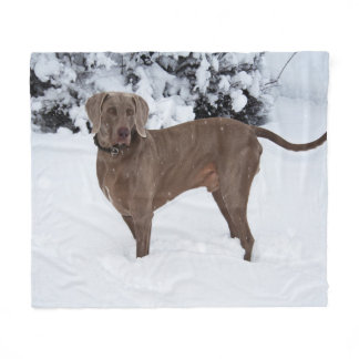 Weimaraner In Winter Fleece Blanket