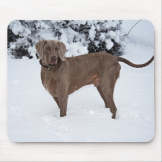 Weimaraner In Winter Mouse Pad