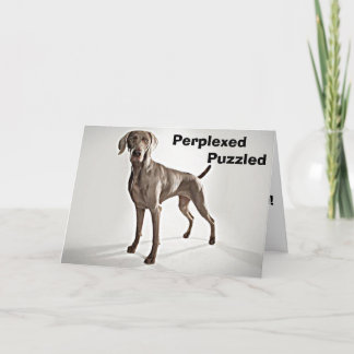 WEIMARANER IS PERPLEXED/PUZZLED U R 40! CARD