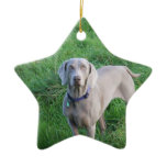 Weimaraner Lovers Ornament