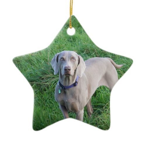 Weimaraner Lovers Ornament