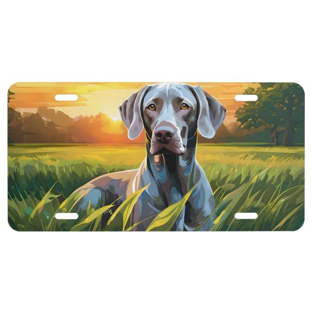 WEIMARANER LYING IN THE SUNSET LICENSE PLATE (Front)