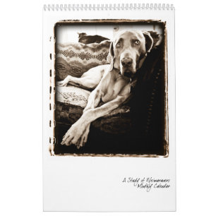 Weimaraner Nation : A Study of Weimaraners Calendar