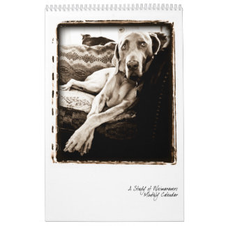 Weimaraner Nation : A Study of Weimaraners Calendar