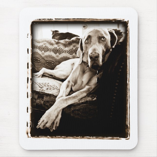 Weimaraner Nation : "Ballou's Chair" Mouse Pad (Front)