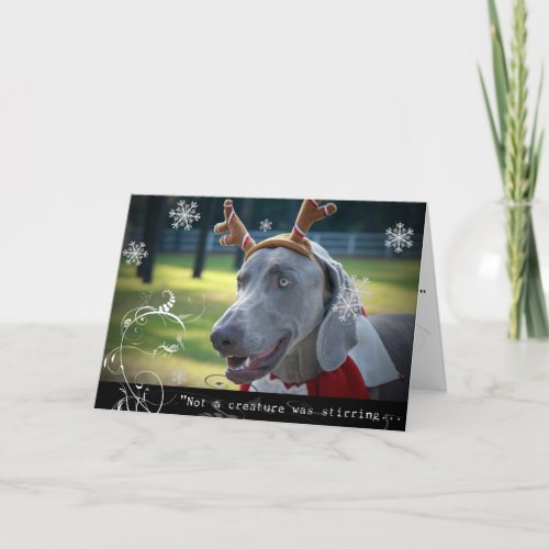 Weimaraner Nation Not A Creature was Stirring Holiday Card