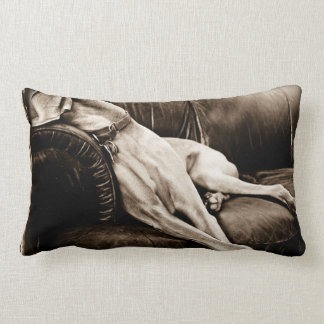 Weimaraner Nation © : "Taking Over the Couch" Lumbar Pillow