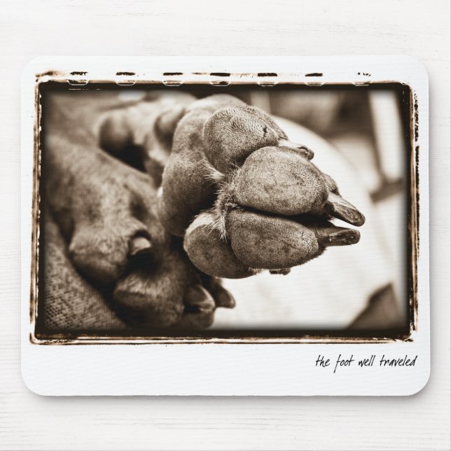 Weimaraner Nation : "The Foot Well Traveled" Mouse Pad (Front)
