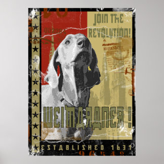 Weimaraner nation : Vintage Weimaraner! Poster