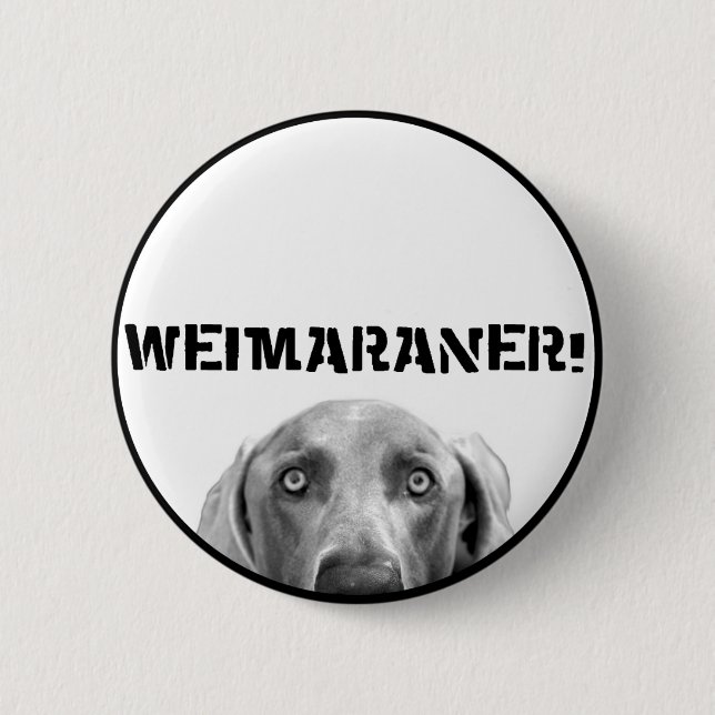Weimaraner Nation : Weimaraner In A Box! Button (Front)