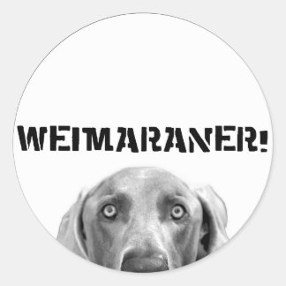 Weimaraner Nation : Weimaraner In a Box (Circle) Classic Round Sticker