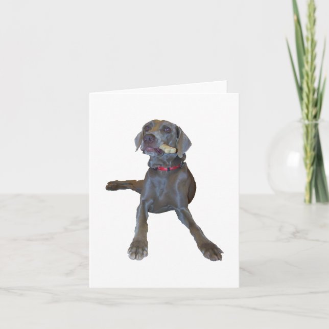 Weimaraner Note Card (Front)