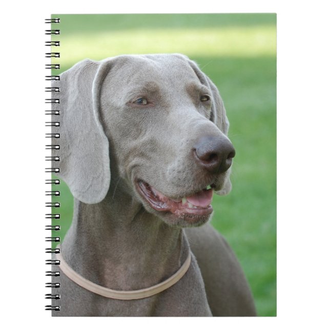 Weimaraner Notebook (Front)