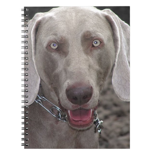 Weimaraner Notebook (Front)