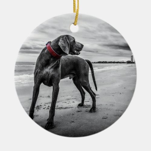 Weimaraner on Beach BW Photo w Red Collar Ceramic Ornament