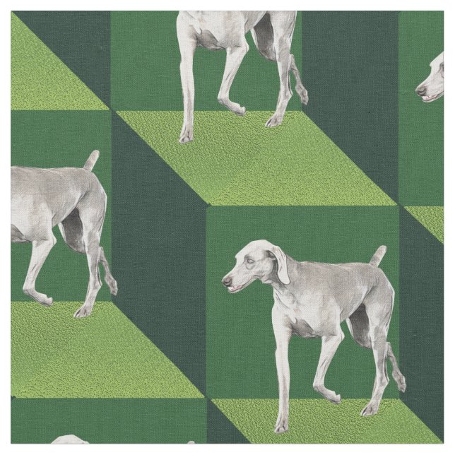 Weimaraner on Green Cubes Fabric (Close Up)