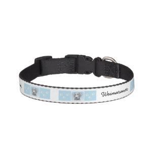 Weimaraner Painting - Cute Original Dog Art Pet Collar