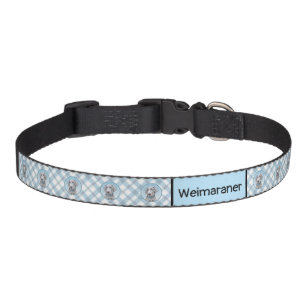 Weimaraner Painting - Cute Original Dog Art Pet Collar
