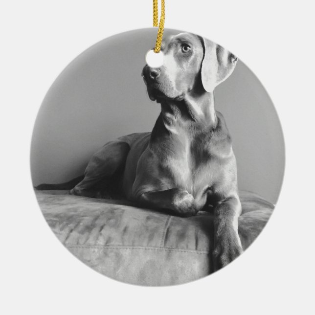 Weimaraner Portrait Ceramic Ornament (Front)