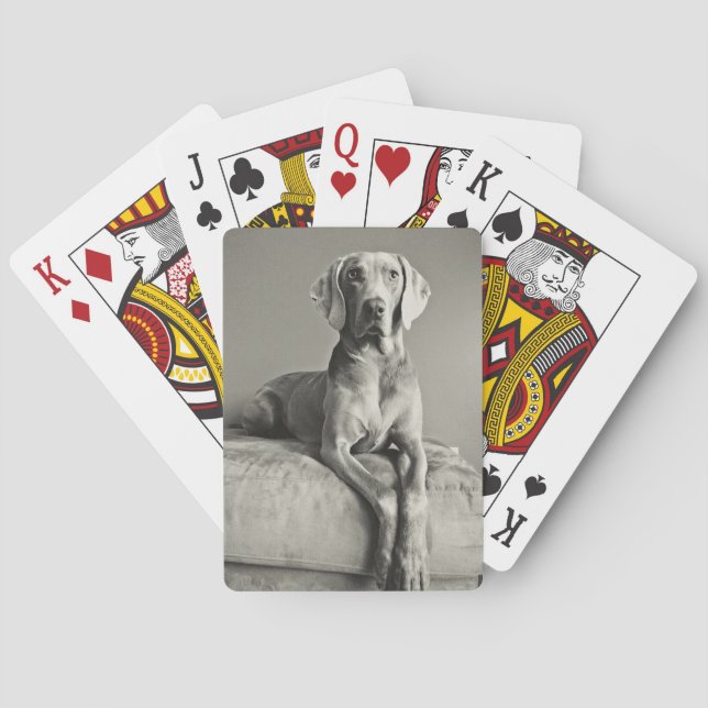 Weimaraner Portrait Poker Cards (Back)