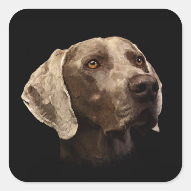 Weimaraner Portrait Square Sticker (Front)