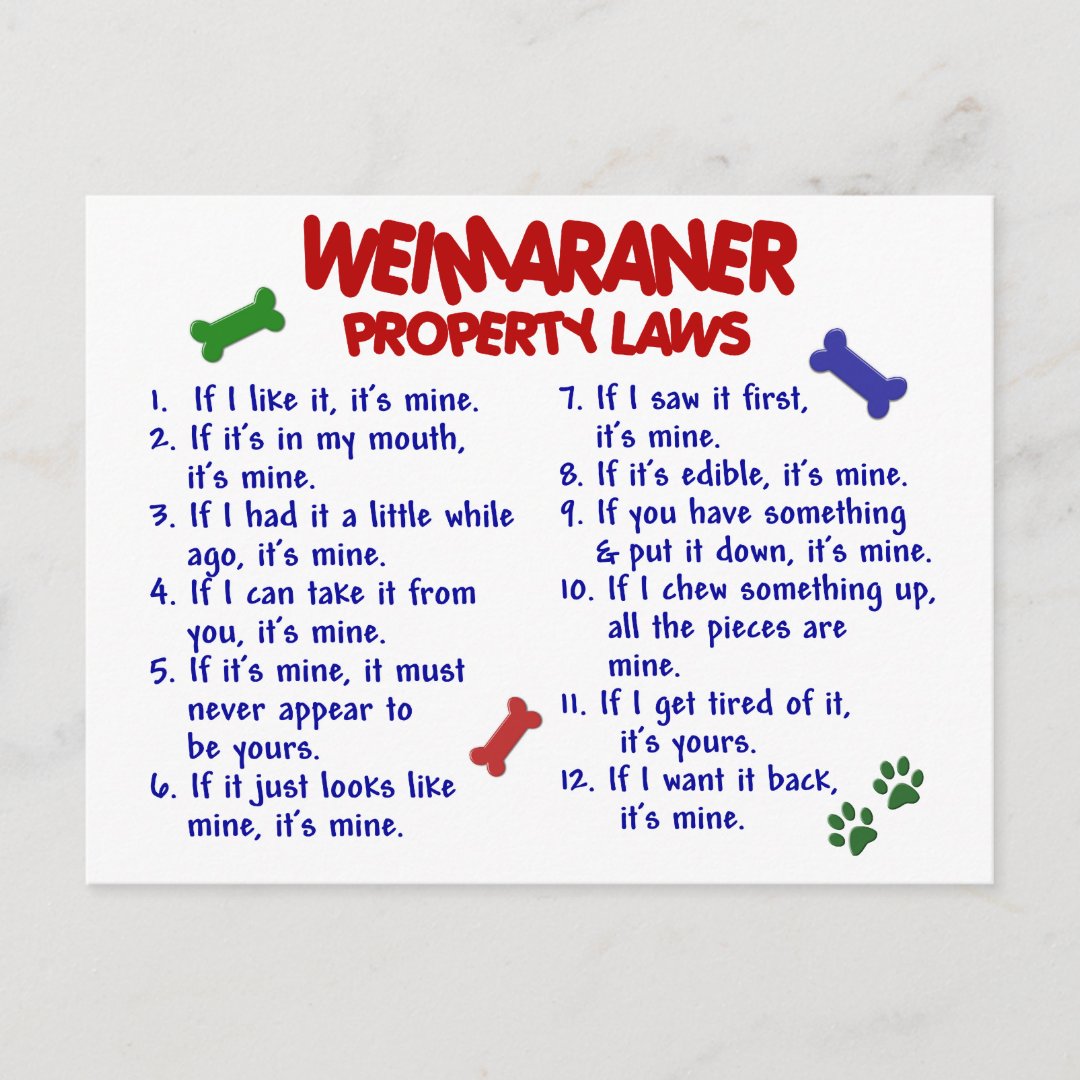 WEIMARANER Property Laws 2 Postcard Zazzle
