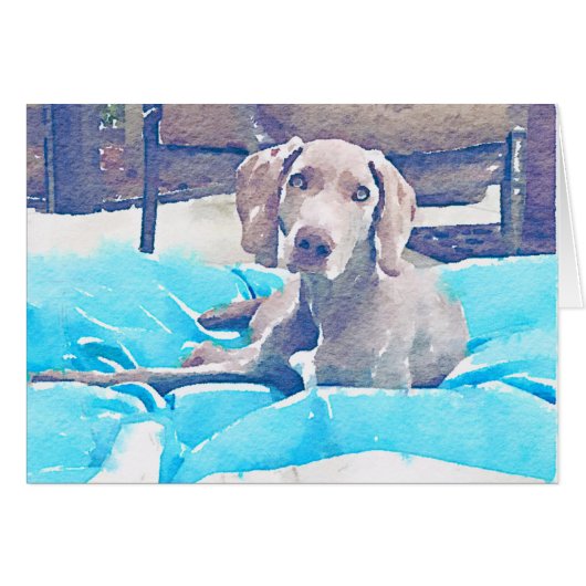 Weimaraner Pup Cards (Front Horizontal)