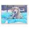 Weimaraner Pup