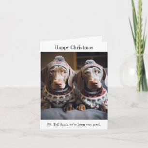 Weimaraner Puppies Christmas Card