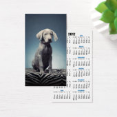 Weimaraner puppy (Desk)