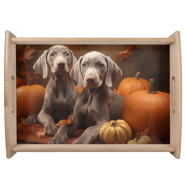 Weimaraner Puppy Autumn Delight Pumpkin Serving Tray (Front)