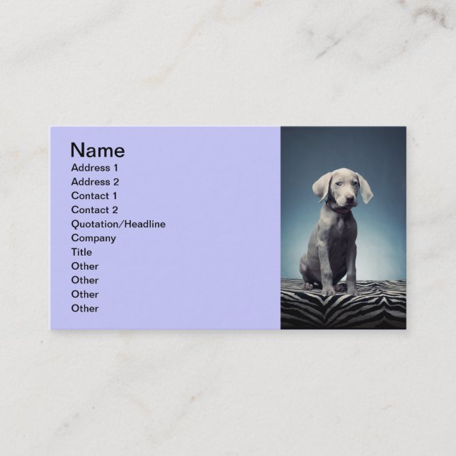 Weimaraner puppy business card (Front)