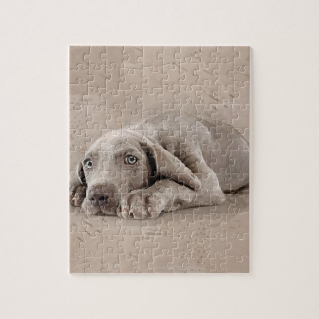 Weimaraner puppy jigsaw puzzle (Vertical)